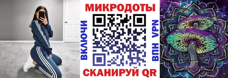 Галлюциногенные грибы Psilocybe  что такое   Карабулак 